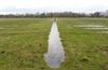 Lommel - Witteren en wandelen in de wateringen