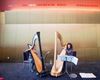 Lommel - 'Seduced by Harps' alweer enorm succes