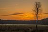 Overpelt - Zonsondergang boven het Hobos