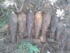 Lommel - Duitse mortieren gevonden in de Elzen