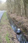 Beringen - Steenstortstraat is vieze sluikstortplaats