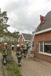 Beringen - Stormschade door grillig lenteweer