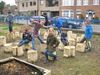 Lommel - Een prachtige boomstronkzithoek