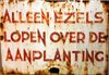 Overpelt - Het zwembad en de ezels