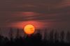 Lommel - Zonsondergang boven Kolonie