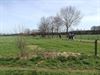 Neerpelt - 1400 deelnemers aan wandeltocht