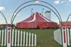 Beringen - Het circus is in de stad