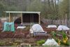 Beringen - Tuinhuis voor volkstuintjes Beringen