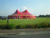 Neerpelt - Vieren in de wei