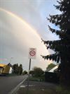 Beringen - Regenbogen festival