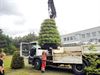 Lommel - Zonneweelde zet de bloemetjes buiten