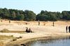 Lommel - Vandaag gezien...