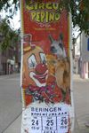 Beringen - Circus Pepino komt naar Beringen