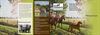 Lommel - Folder 'Pure paardenpracht'