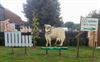 Neerpelt - 'Dag van de Landbouw' in dierenpension