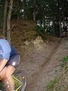 Overpelt - Snelle Mieke P.  naar DHCO