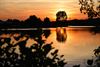 Beringen - Zonsondergang aan de Paalse Plas