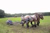 Lommel - Veel plezier tijdens 'Week van het Bos'