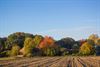 Beringen - Herfst in de Motbemden