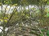Hamont-Achel - De bever is terug