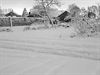 Overpelt - Veel sneeuw vandaag...