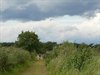 Neerpelt - Lekker wandelweer...