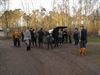 Hechtel-Eksel - Kerstwandeling van de Pundershoek