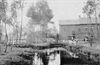 Neerpelt - Terug naar de roots
