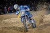 Beringen - Team Marnicq Bervoets start WK
