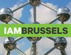Beringen - Aanslagen in Brussel: noodnummer en website
