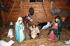 Overpelt - Kerst op Holheide