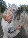 Houthalen-Helchteren - Een paardenmens uit Houthalen-Oost