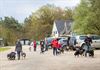 Lommel - Met bordercollies op wandel