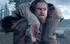 Neerpelt - Zebracinema: 'The Revenant'