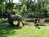 Beringen - Dag van het Park in Beringen