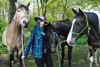 Beringen - Nieuw: Horseshop Jacosa