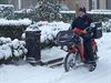 Hamont-Achel - Hoed af voor de postbode