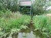 Neerpelt - Veel sterfte onder broedvogels door regenval