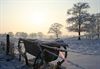 Neerpelt - Ook winter in SHLille...