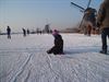 Hamont-Achel - Duizenden schaatsers in Molentocht