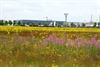 Lommel - Industrie en ecologie
