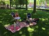 Beringen - Picknick op Kioskplein