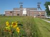 Houthalen-Helchteren - 113ha aan bloemenakkers ingezaaid