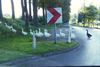 Neerpelt - De donkere is de chef
