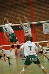 Hamont-Achel - Volley: weer winst voor AVOC