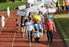 Lommel - Levensloop onder mooi zonnetje