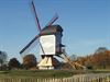 Lommel - Lommelse molen valt in de prijzen