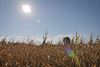 Lommel - Het leek wel zomer vandaag...