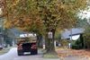 Overpelt - Breugelweg wordt heraangelegd