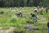 Beringen - Dag van de Natuur in Beringen